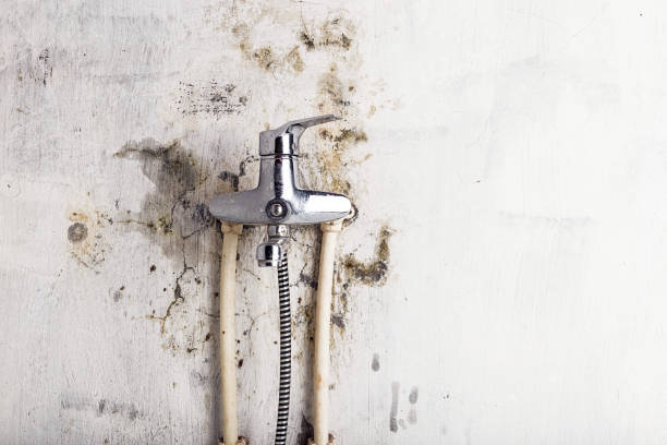 Trusted Treasure Lake, PA Mold Removal Experts