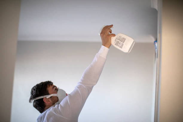 Best Black Mold Removal  in Treasure Lake, PA