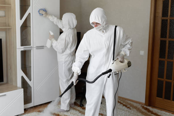 Best Toxic Mold Removal  in Treasure Lake, PA